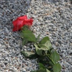 Gdy nadeszła śmierć, zła śmierć